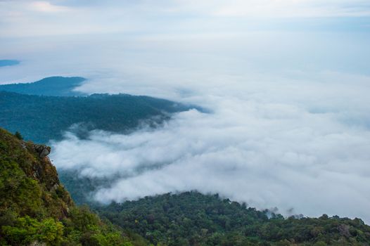 fog on mountain and cloudy sky