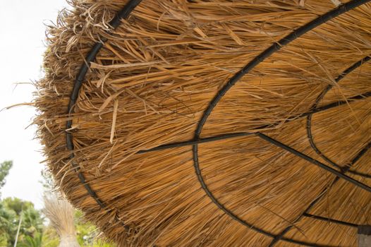 Straw umbrellas on the beach in Palma de Mallorca, Close-up against trees.