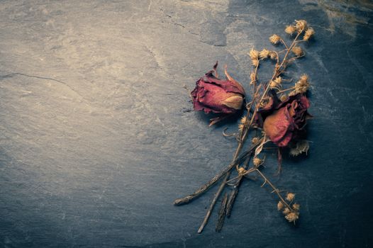 Closeup of Dry Rose Flower on Stone, Memory Love Conception