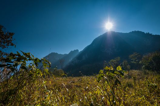 sun light and mountain forest landscape