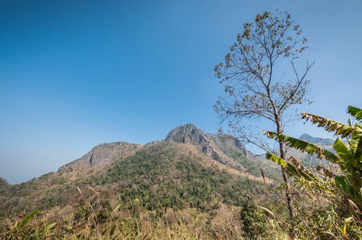 Mountain of Doi Luang Chiang Dao natural park Landscape