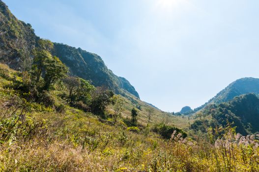 Mountain of Doi Luang Chiang Dao natural park Landscape