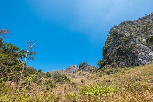 Mountain of Doi Luang Chiang Dao natural park Landscape