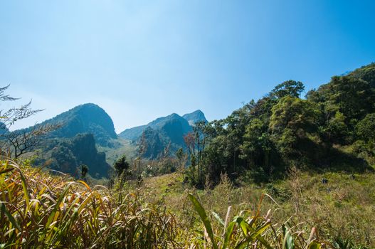 Mountain of Doi Luang Chiang Dao natural park Landscape