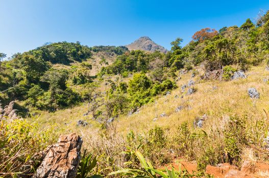 Mountain of Doi Luang Chiang Dao natural park Landscape