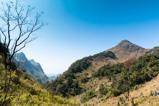 Mountain of Doi Luang Chiang Dao natural park Landscape