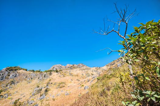 Mountain of Doi Luang Chiang Dao natural park Landscape