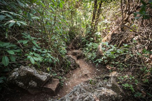 Soil path on mountain  landscape