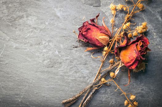Closeup of Dry Rose Flower on Stone