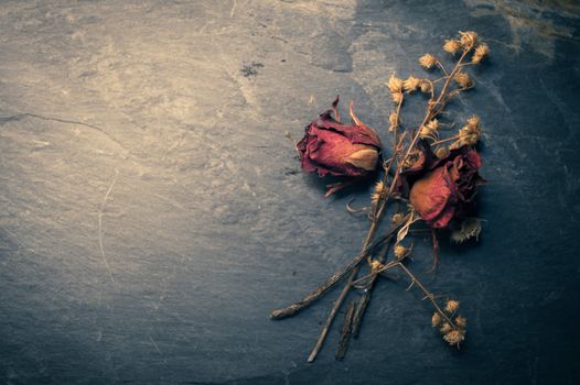 Closeup of Dry Rose Flower on Stone