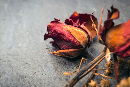 Closeup of Dry Rose Flower on Stone