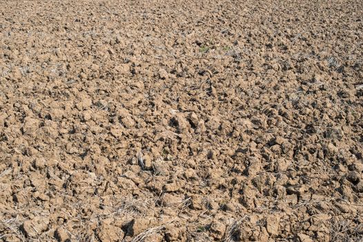 background of soil floor for agriculture
