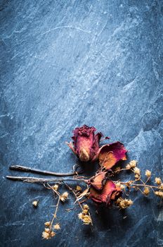 Closeup of Dry Rose Flower on Stone