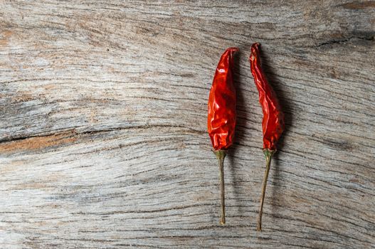 red chilli on wooden background