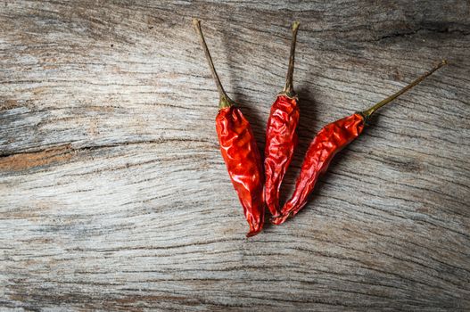 red chilli on wooden background