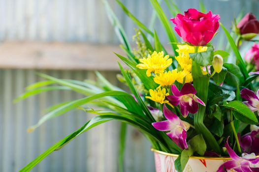 closeup of beautiful flower in pot