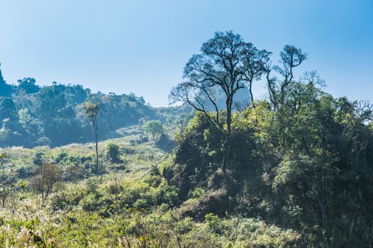 Mountain of Doi Luang Chiang Dao natural park Landscape, Chiang Mai, Thailand.