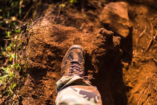 closeup of canvas shoes walking in soil path, adventure travel conception.