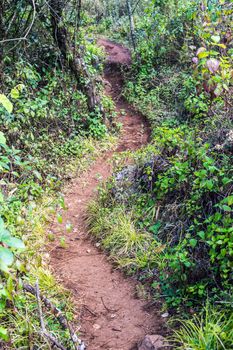 path of Doi Luang Chiang Dao Mountain Landscape, Chiang Mai, Thailand.