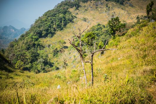 Doi Luang Chiang Dao Mountain Landscape, Chiang Mai, Thailand.