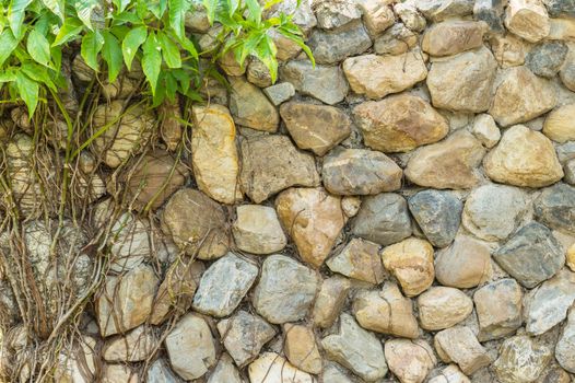 stone wall and green plant background