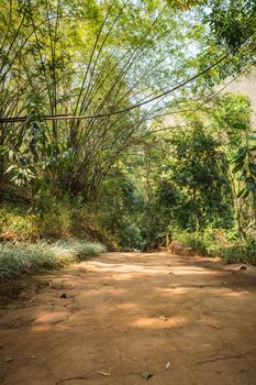 soil path in natural park