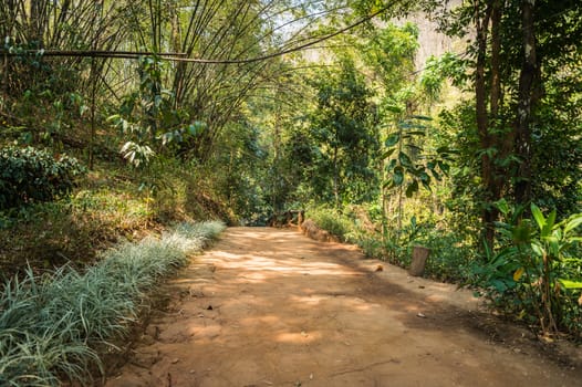 soil path in natural park