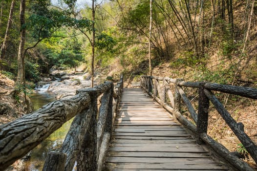 Path in Chaeson waterfall natural park of Lampang province, Thailand