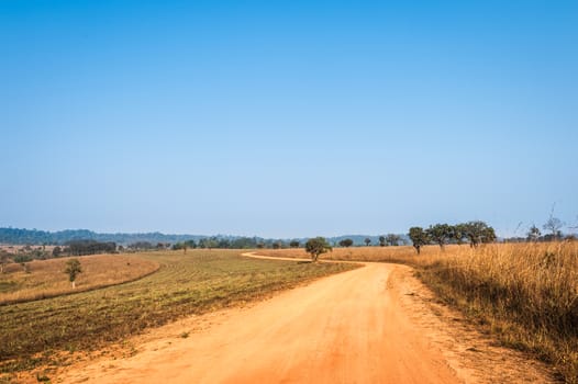 soil road and dry field landscape