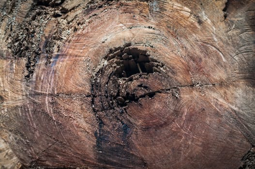pattern of grunge wood background
