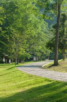 Road in the Sri Sat Cha Na Lai national park landscape, Sukhothai, Thailand