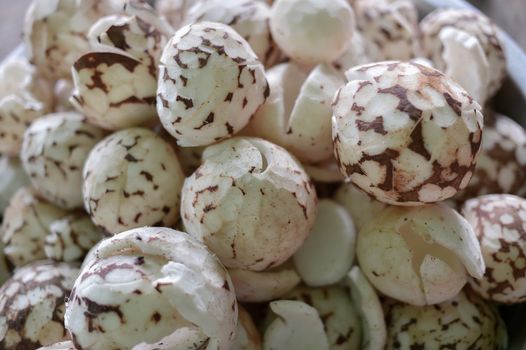 Closeup of coconut seed, raw food ingredient.