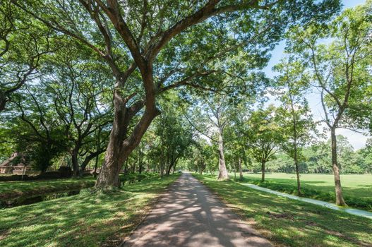 Road in Sri Sat Cha Na Lai Historical Park Landscape, Sukhothai, Thailand