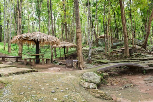 Pavilion in Nature Park Landscape