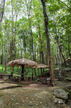 Pavilion in Nature Park Landscape