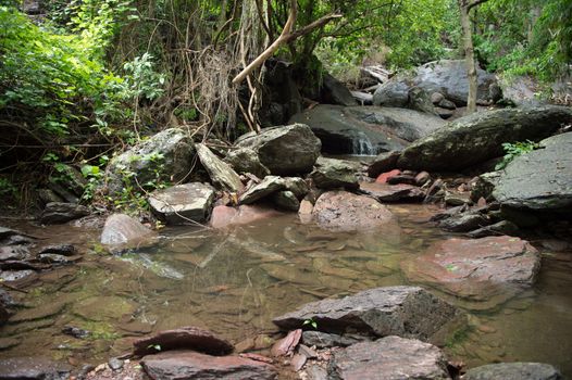 Waterfall in forest landscape