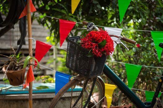 Closeup of red flower in bicycle basket