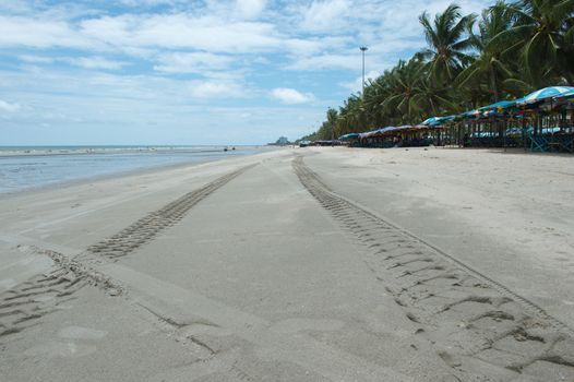 Sea beach and coconut palm tree landscape, rayong province, Thailand.