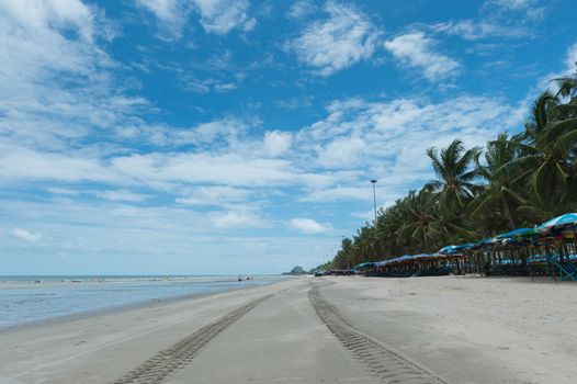 Sea beach and coconut palm tree landscape, rayong province, Thailand.
