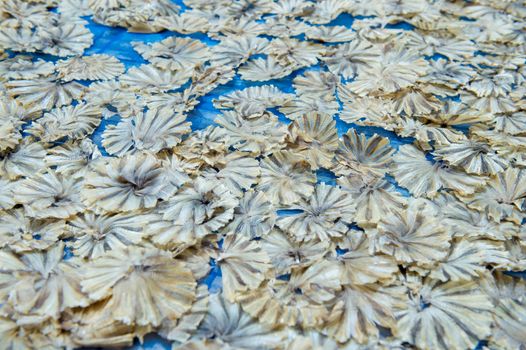 Sea fish shape circle, preservation food and sale in market