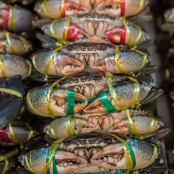 Closeup of sea crab in market