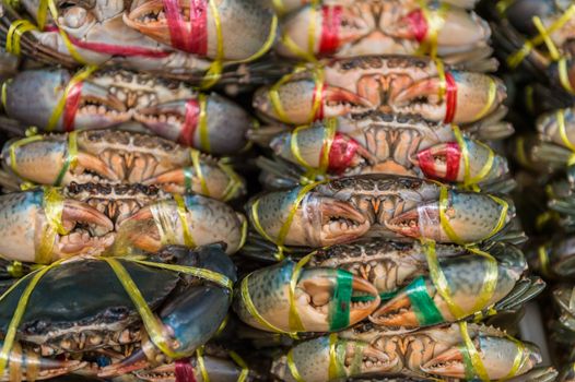 Closeup of sea crab in market