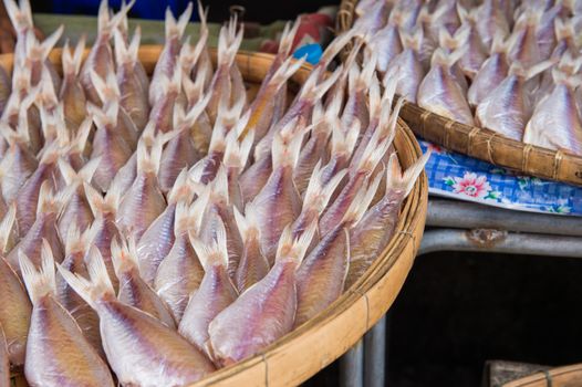 Closeup of dried fish preservation in food market