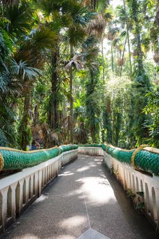 Kamchanod Temple and Forest Reserve, Udon Thani , Thailand