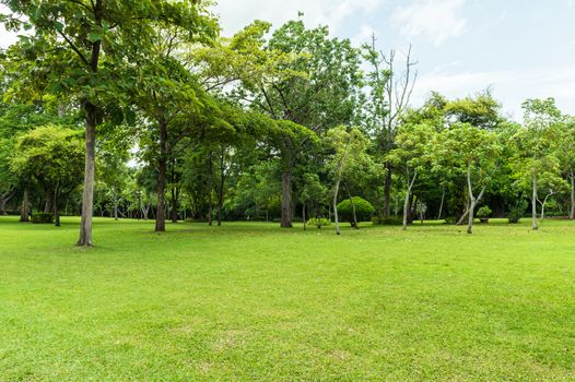 Green of Garden Landscape With Cloudy sky