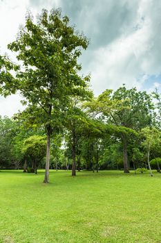 Green of Garden Landscape With Cloudy sky