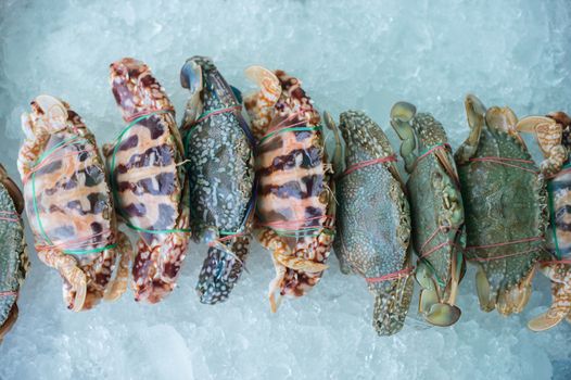 Closeup of sea crab on ice in market
