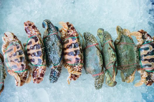 Closeup of sea crab on ice in market