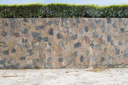 stone wall and tree garden decorated