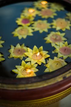 water basin style and flower candle, religion buddhism culture.